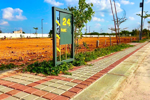 Bhumi's Divi Dream Land